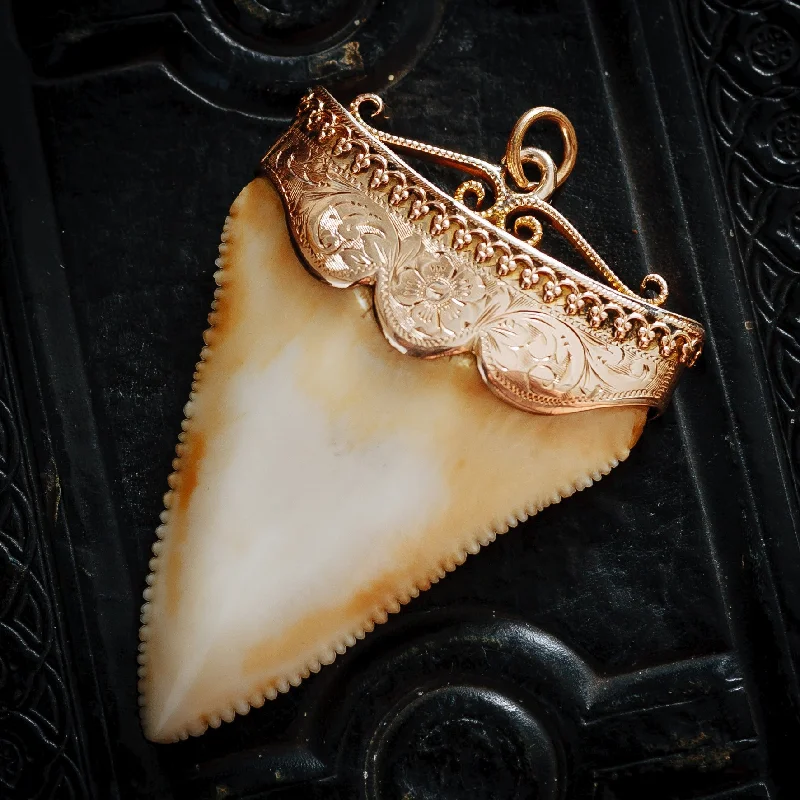 Personalized necklaces for women-Majestic Antique 15ct Gold Mounted Great White Shark's Tooth Pendant